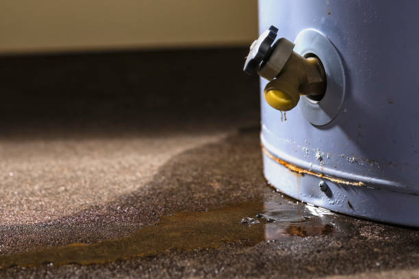 Best Flooded house restoration  in Glen Cove, NY
