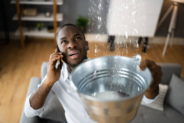 Best 24/7 water damage repair  in Glen Cove, NY