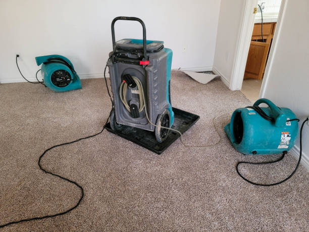 Best Residential water damage restoration  in Glen Cove, NY