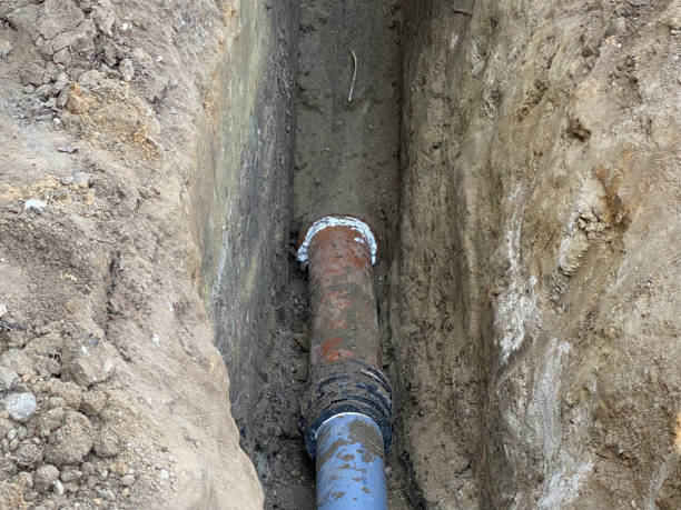 Best Professional water damage repair  in Glen Cove, NY
