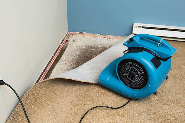 Best Water damage restoration near me  in Glen Cove, NY